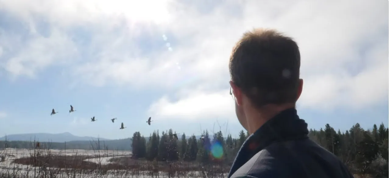 Homepage video overlay. Jason ochs looking at birds flying over a lake.